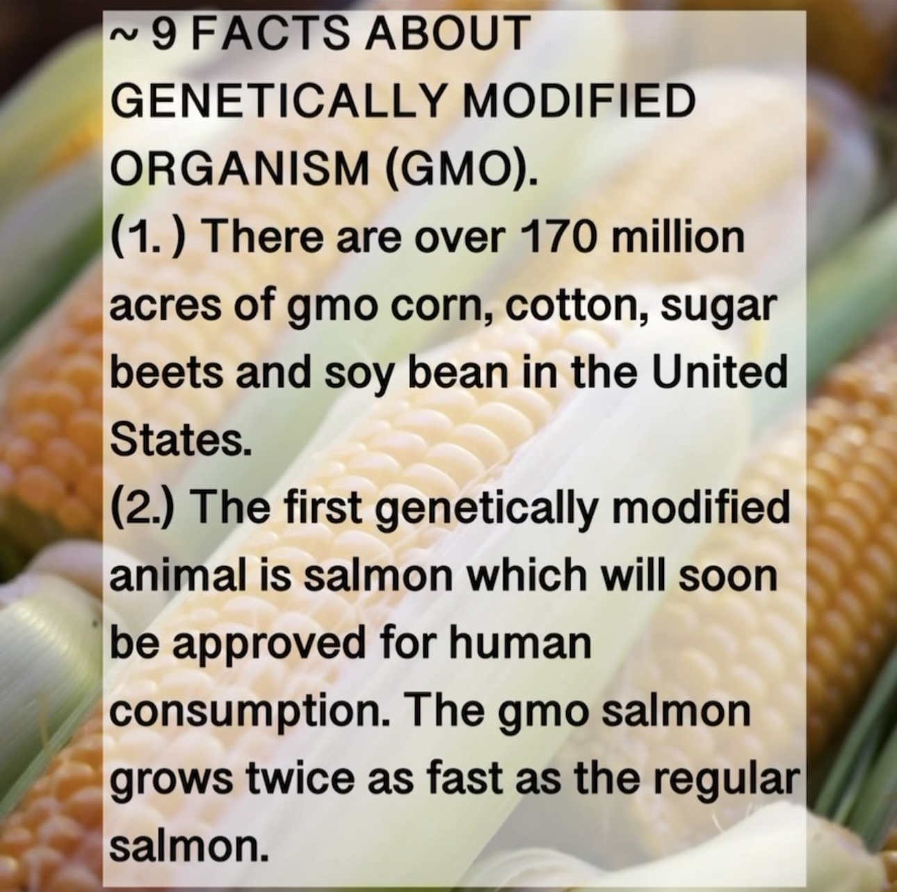9 FACTS ABOUT GENETICALLY MODIFIED ORGANISM (GMO). (1. ) There are over 170 million acres of gmo corn, cotton, sugar beets and soy bean in the United States. (2.) The first genetically modified animal is salmon which will soon be approved for human consumption. The gmo salmon grows twice as fast as the regular salmon.