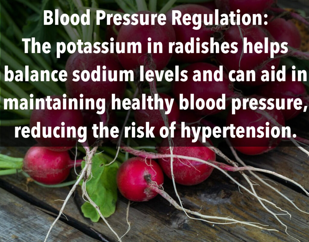 8. Blood Pressure Regulation: The potassium in radishes helps balance sodium levels and can aid in maintaining healthy blood pressure, reducing the risk of hypertension.