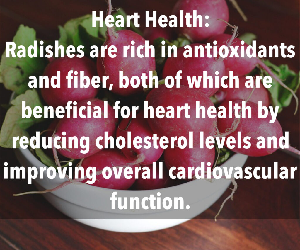 9. Heart Health: Radishes are rich in antioxidants and fiber, both of which are beneficial for heart health by reducing cholesterol levels and improving overall cardiovascular function.