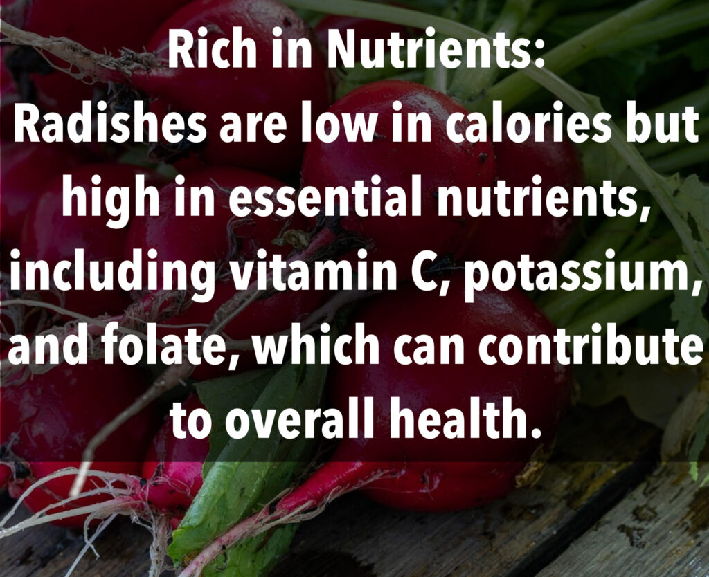 1. Rich in Nutrients: Radishes are low in calories but high in essential nutrients, including vitamin C, potassium, and folate, which can contribute to overall health.