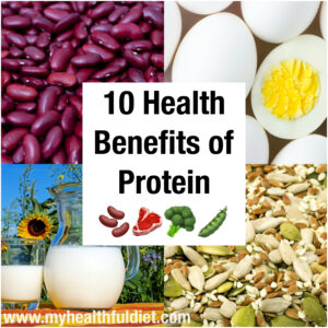 10 Health benefits of protein