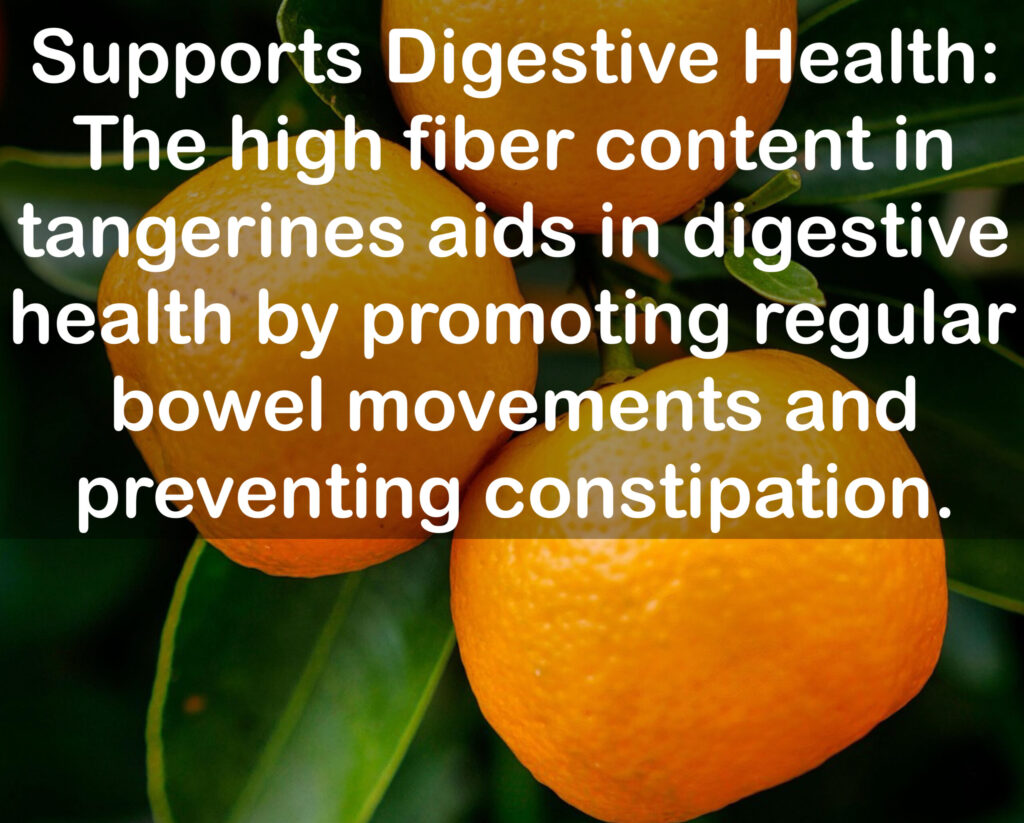 3. Supports Digestive Health: The high fiber content in tangerines aids in digestive health by promoting regular bowel movements and preventing constipation.