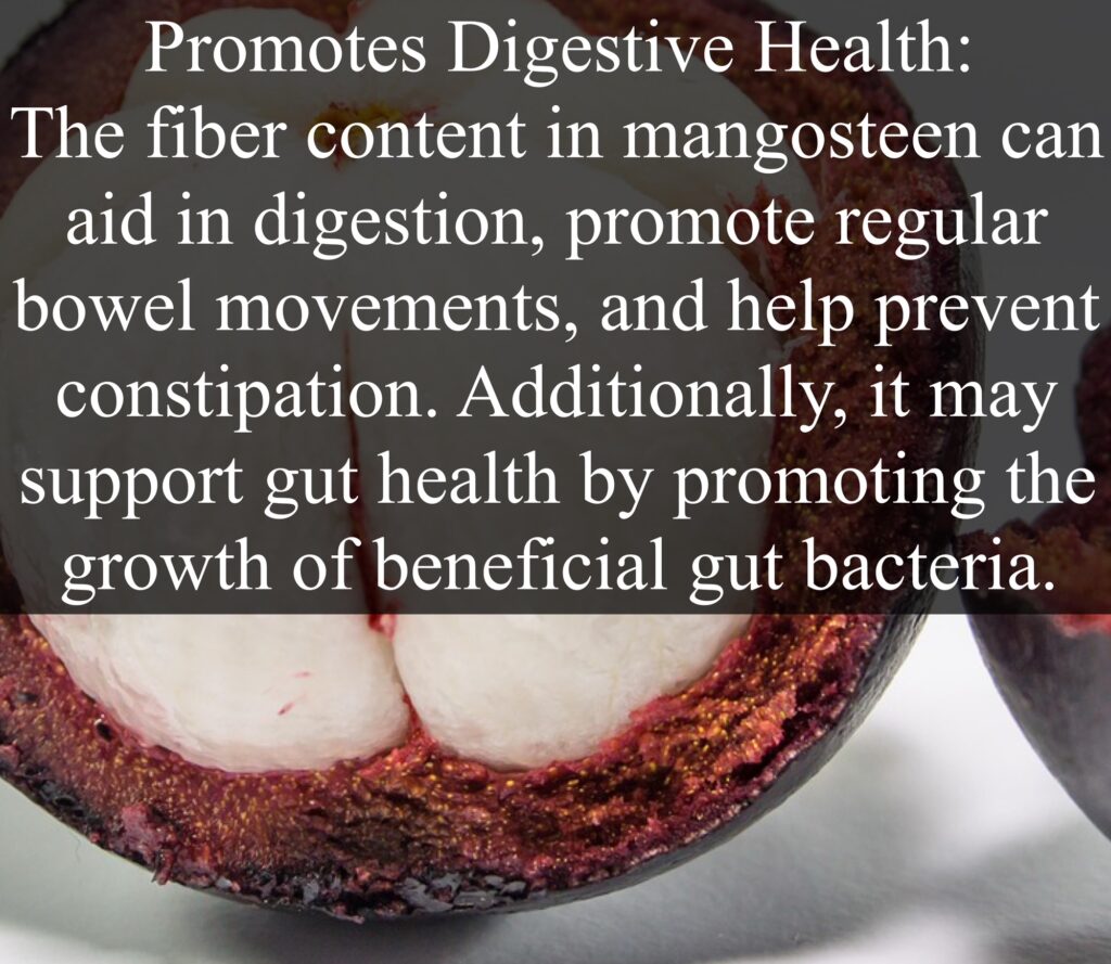 4. Promotes Digestive Health: The fiber content in mangosteen can aid in digestion, promote regular bowel movements, and help prevent constipation. Additionally, it may support gut health by promoting the growth of beneficial gut bacteria.