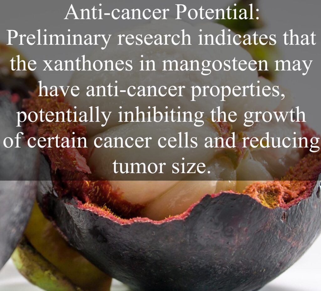 9. Anti-cancer Potential: Preliminary research indicates that the xanthones in mangosteen may have anti-cancer properties, potentially inhibiting the growth of certain cancer cells and reducing tumor size.