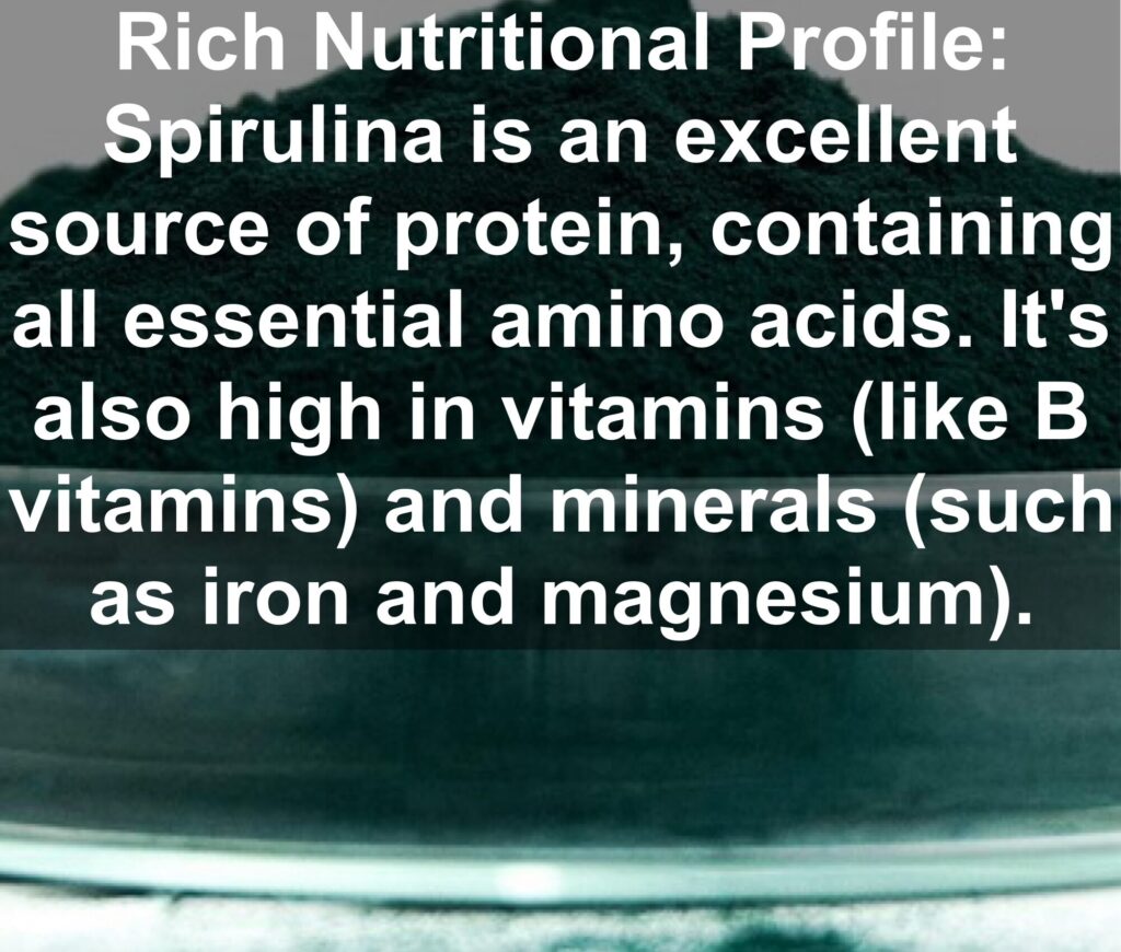 1. Rich Nutritional Profile: Spirulina is an excellent source of protein, containing all essential amino acids. It's also high in vitamins (like B vitamins) and minerals (such as iron and magnesium).