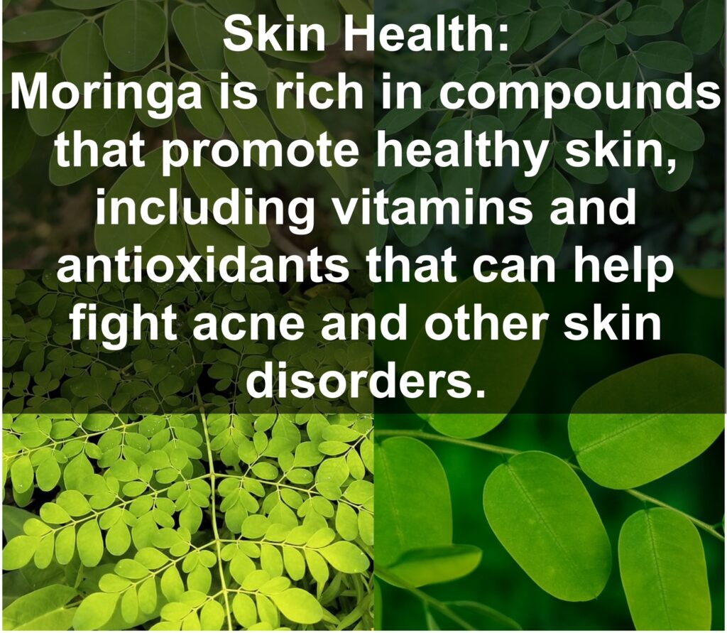 9. Skin Health: Moringa is rich in compounds that promote healthy skin, including vitamins and antioxidants that can help fight acne and other skin disorders.