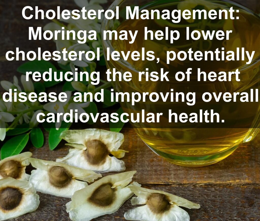 5. Cholesterol Management: Moringa may help lower cholesterol levels, potentially reducing the risk of heart disease and improving overall cardiovascular health.