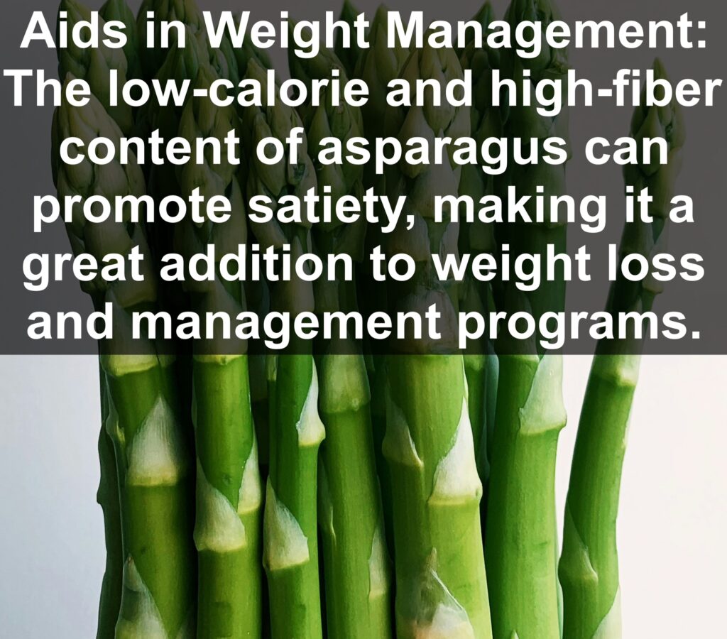 4. Aids in Weight Management: The low-calorie and high-fiber content of asparagus can promote satiety, making it a great addition to weight loss and management programs.