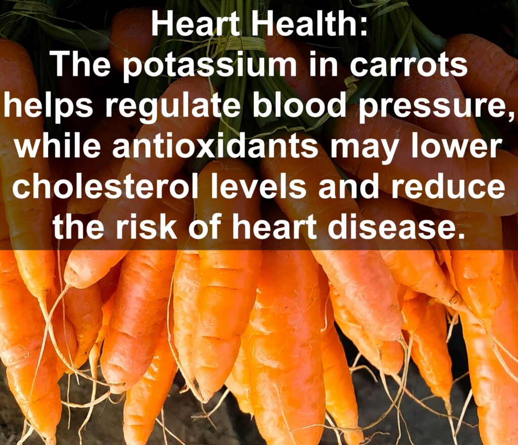 5. Heart Health: The potassium in carrots helps regulate blood pressure, while antioxidants may lower cholesterol levels and reduce the risk of heart disease.