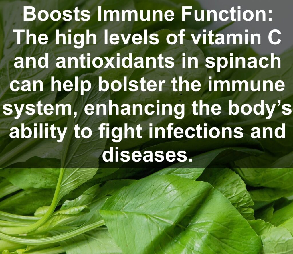 5. Boosts Immune Function: The high levels of vitamin C and antioxidants in spinach can help bolster the immune system, enhancing the body’s ability to fight infections and diseases.