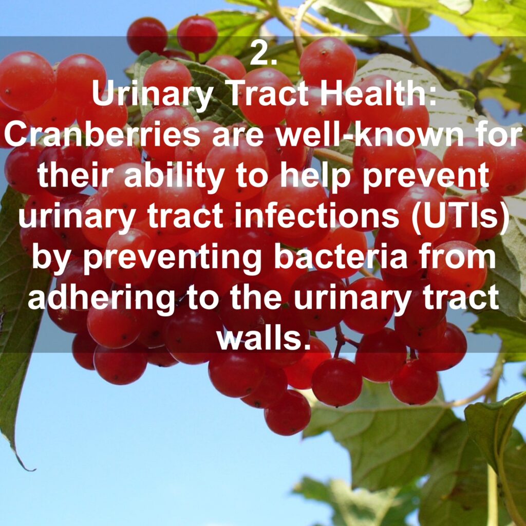 2. Urinary Tract Health: Cranberries are well-known for their ability to help prevent urinary tract infections (UTIs) by preventing bacteria from adhering to the urinary tract walls.