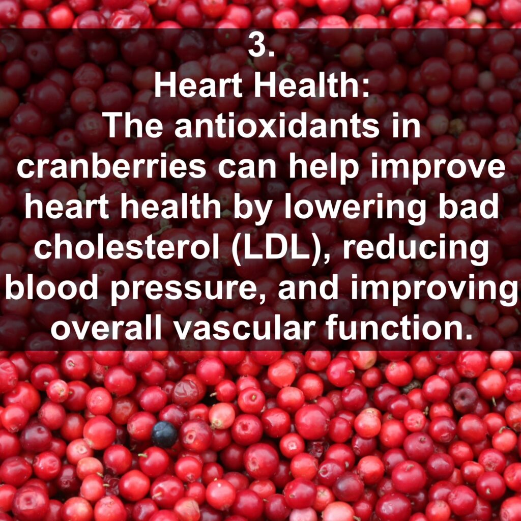 3. Heart Health: The antioxidants in cranberries can help improve heart health by lowering bad cholesterol (LDL), reducing blood pressure, and improving overall vascular function.