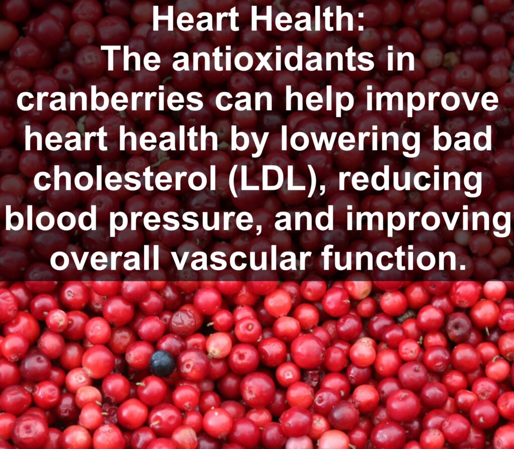 3. Heart Health: The antioxidants in cranberries can help improve heart health by lowering bad cholesterol (LDL), reducing blood pressure, and improving overall vascular function.
