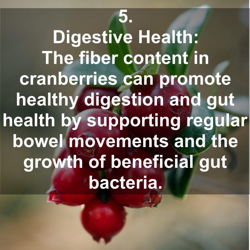 5. Digestive Health: The fiber content in cranberries can promote healthy digestion and gut health by supporting regular bowel movements and the growth of beneficial gut bacteria.