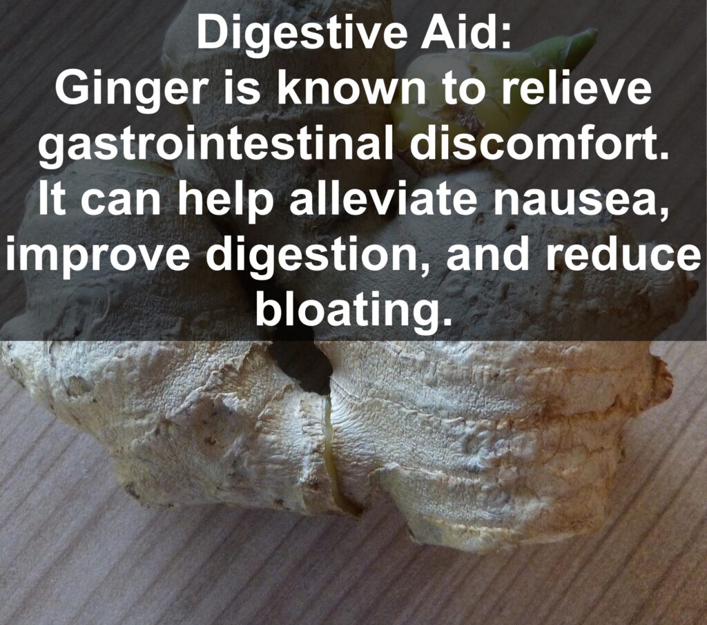 2. Digestive Aid: Ginger is known to relieve gastrointestinal discomfort. It can help alleviate nausea, improve digestion, and reduce bloating.