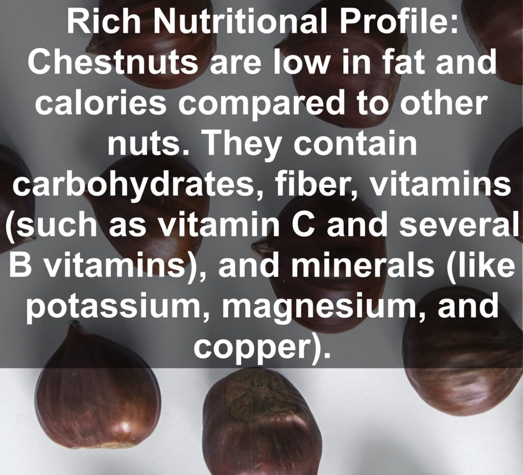 1. Rich Nutritional Profile: Chestnuts are low in fat and calories compared to other nuts. They contain carbohydrates, fiber, vitamins (such as vitamin C and several B vitamins), and minerals (like potassium, magnesium, and copper).