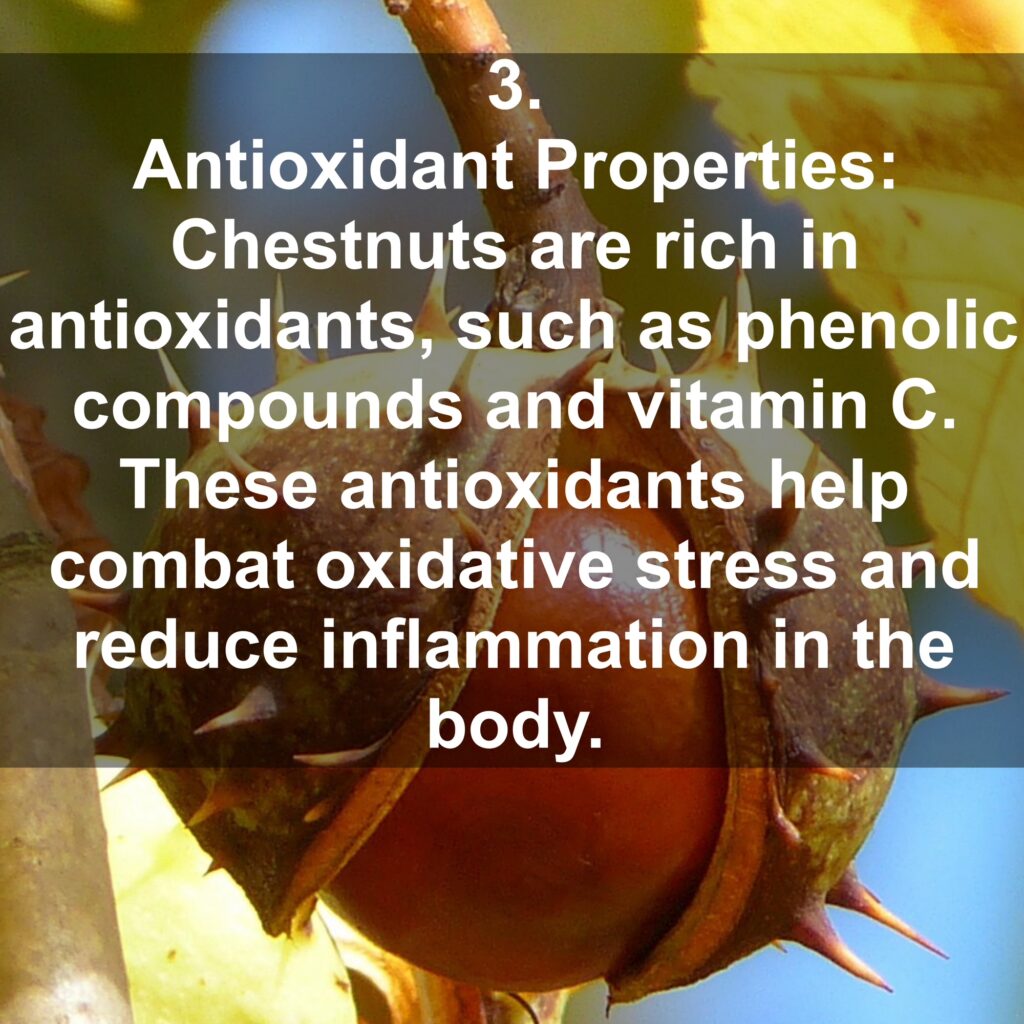 3. Antioxidant Properties: Chestnuts are rich in antioxidants, such as phenolic compounds and vitamin C. These antioxidants help combat oxidative stress and reduce inflammation in the body.