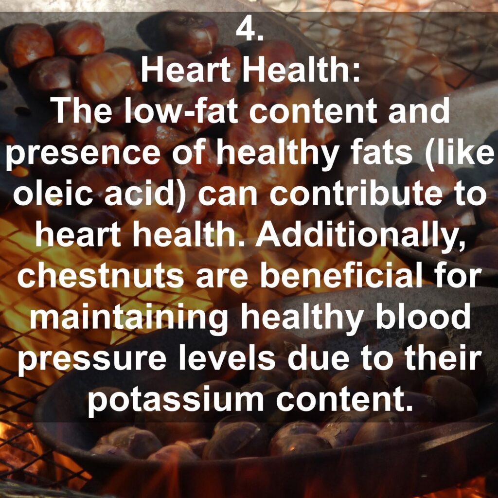4. Heart Health: The low-fat content and presence of healthy fats (like oleic acid) can contribute to heart health. Additionally, chestnuts are beneficial for maintaining healthy blood pressure levels due to their potassium content.