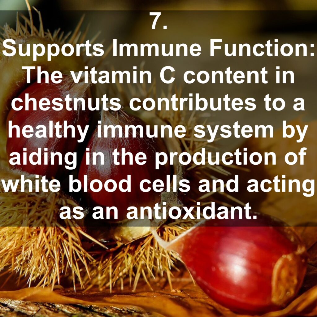 7. Supports Immune Function: The vitamin C content in chestnuts contributes to a healthy immune system by aiding in the production of white blood cells and acting as an antioxidant.