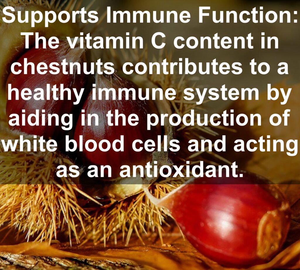 7. Supports Immune Function: The vitamin C content in chestnuts contributes to a healthy immune system by aiding in the production of white blood cells and acting as an antioxidant.