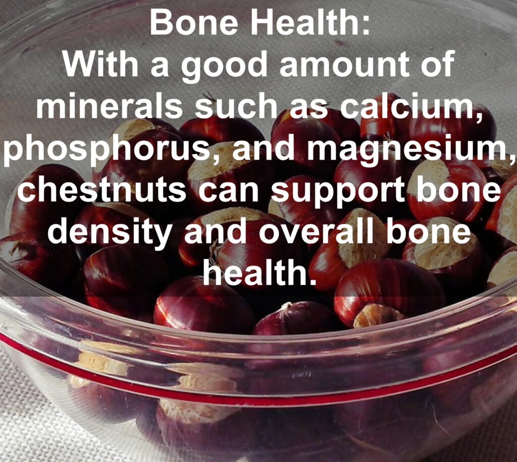 8. Bone Health: With a good amount of minerals such as calcium, phosphorus, and magnesium, chestnuts can support bone density and overall bone health.