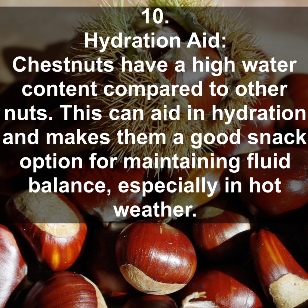 10. Hydration Aid: Chestnuts have a high water content compared to other nuts. This can aid in hydration and makes them a good snack option for maintaining fluid balance, especially in hot weather.