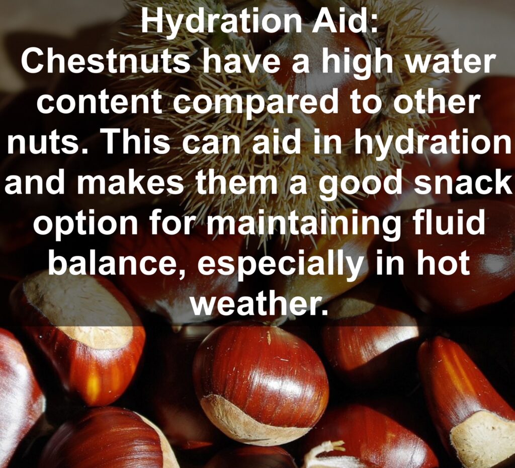 10. Hydration Aid: Chestnuts have a high water content compared to other nuts. This can aid in hydration and makes them a good snack option for maintaining fluid balance, especially in hot weather.