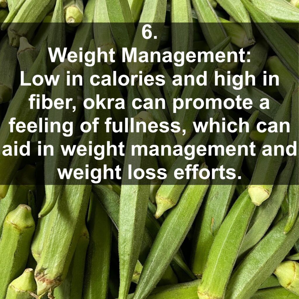 6. Weight Management: Low in calories and high in fiber, okra can promote a feeling of fullness, which can aid in weight management and weight loss efforts.