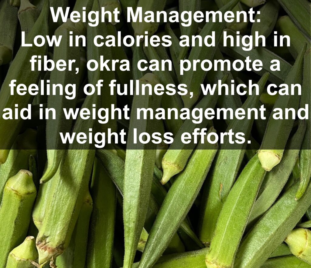 6. Weight Management: Low in calories and high in fiber, okra can promote a feeling of fullness, which can aid in weight management and weight loss efforts.