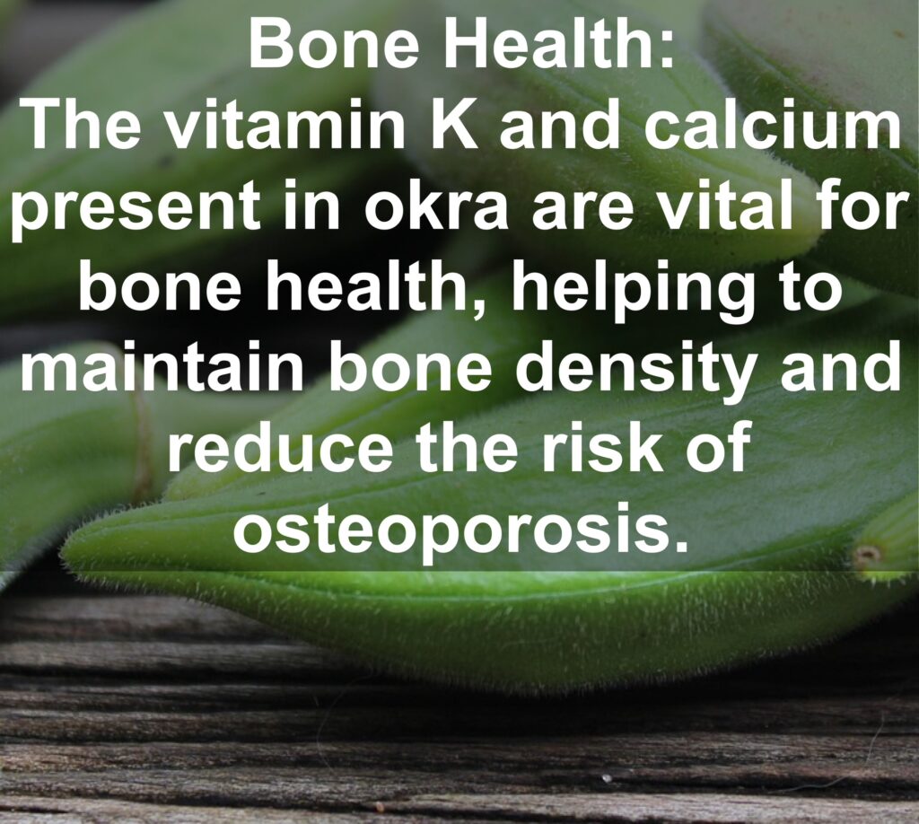 8. Bone Health: The vitamin K and calcium present in okra are vital for bone health, helping to maintain bone density and reduce the risk of osteoporosis.