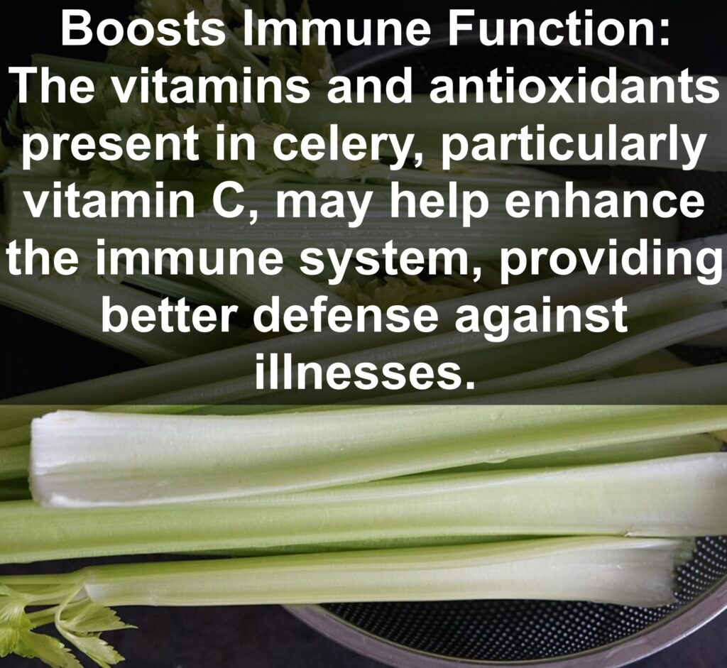 10. Boosts Immune Function: The vitamins and antioxidants present in celery, particularly vitamin C, may help enhance the immune system, providing better defense against illnesses.