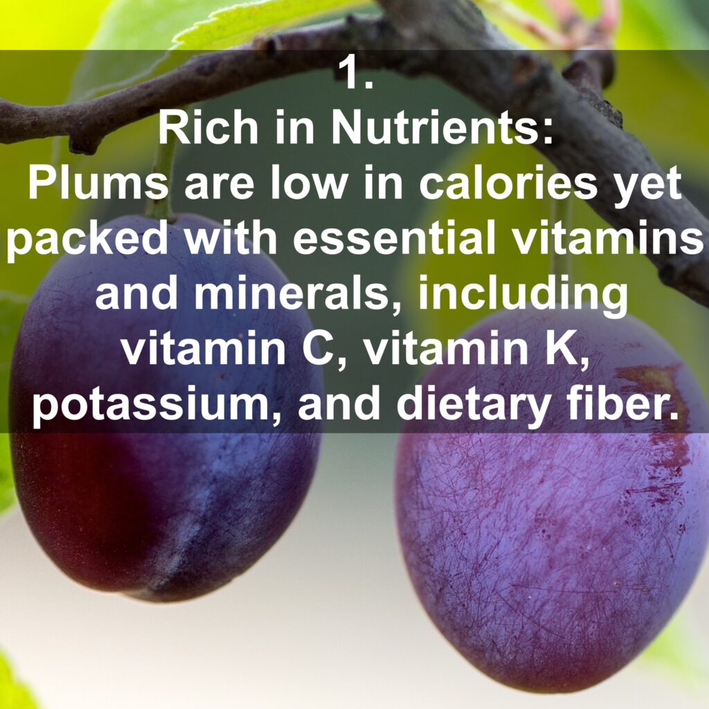 1. Rich in Nutrients: Plums are low in calories yet packed with essential vitamins and minerals, including vitamin C, vitamin K, potassium, and dietary fiber.