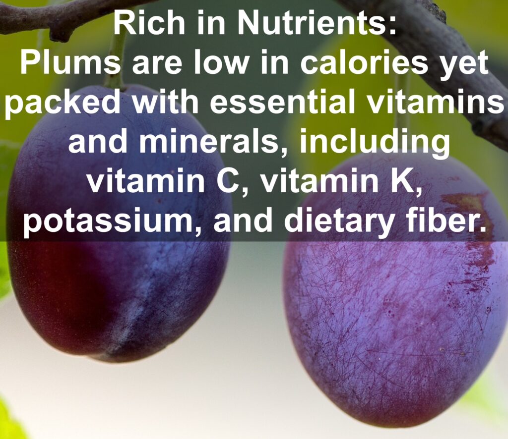 1. Rich in Nutrients: Plums are low in calories yet packed with essential vitamins and minerals, including vitamin C, vitamin K, potassium, and dietary fiber.