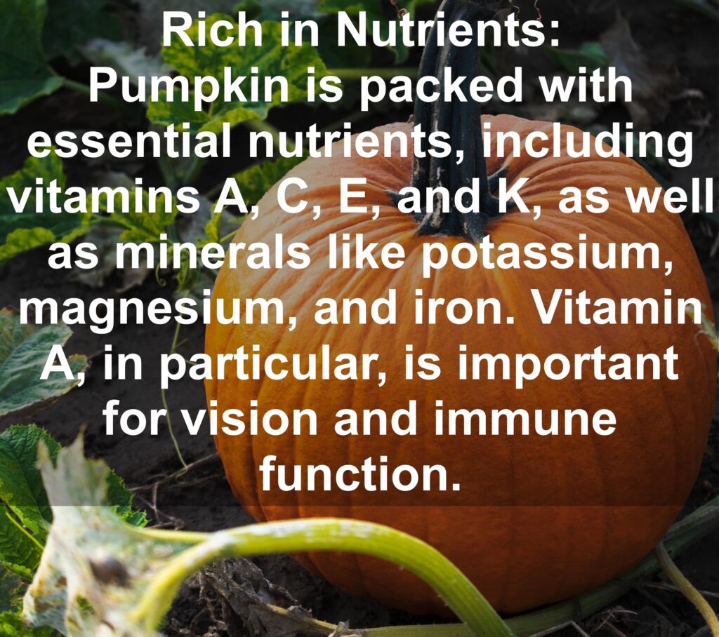1. Rich in Nutrients: Pumpkin is packed with essential nutrients, including vitamins A, C, E, and K, as well as minerals like potassium, magnesium, and iron. Vitamin A, in particular, is important for vision and immune function.