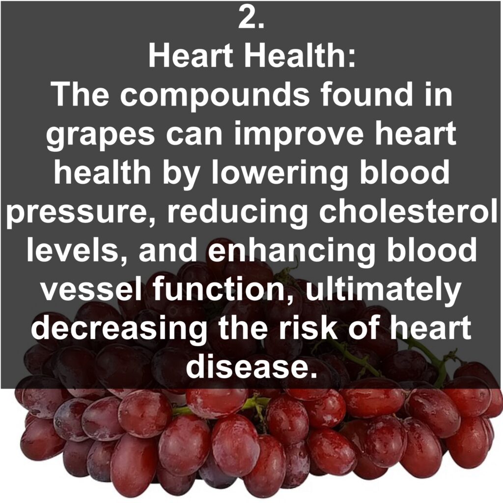 2. Heart Health: The compounds found in grapes can improve heart health by lowering blood pressure, reducing cholesterol levels, and enhancing blood vessel function, ultimately decreasing the risk of heart disease.