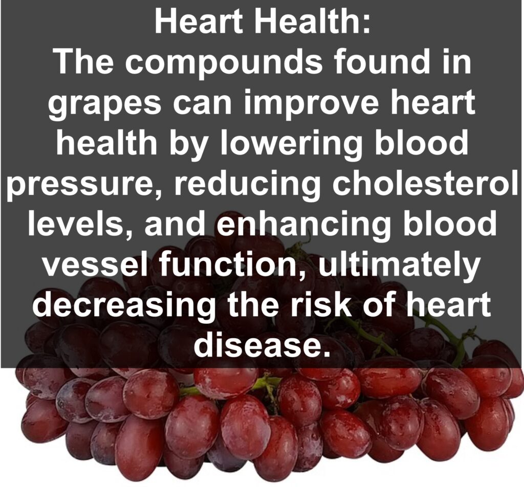 2. Heart Health: The compounds found in grapes can improve heart health by lowering blood pressure, reducing cholesterol levels, and enhancing blood vessel function, ultimately decreasing the risk of heart disease.