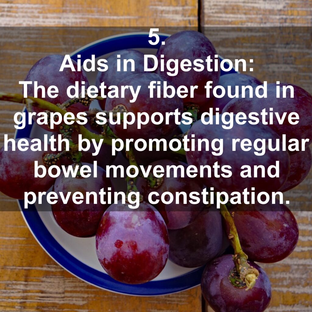 5. Aids in Digestion: The dietary fiber found in grapes supports digestive health by promoting regular bowel movements and preventing constipation.