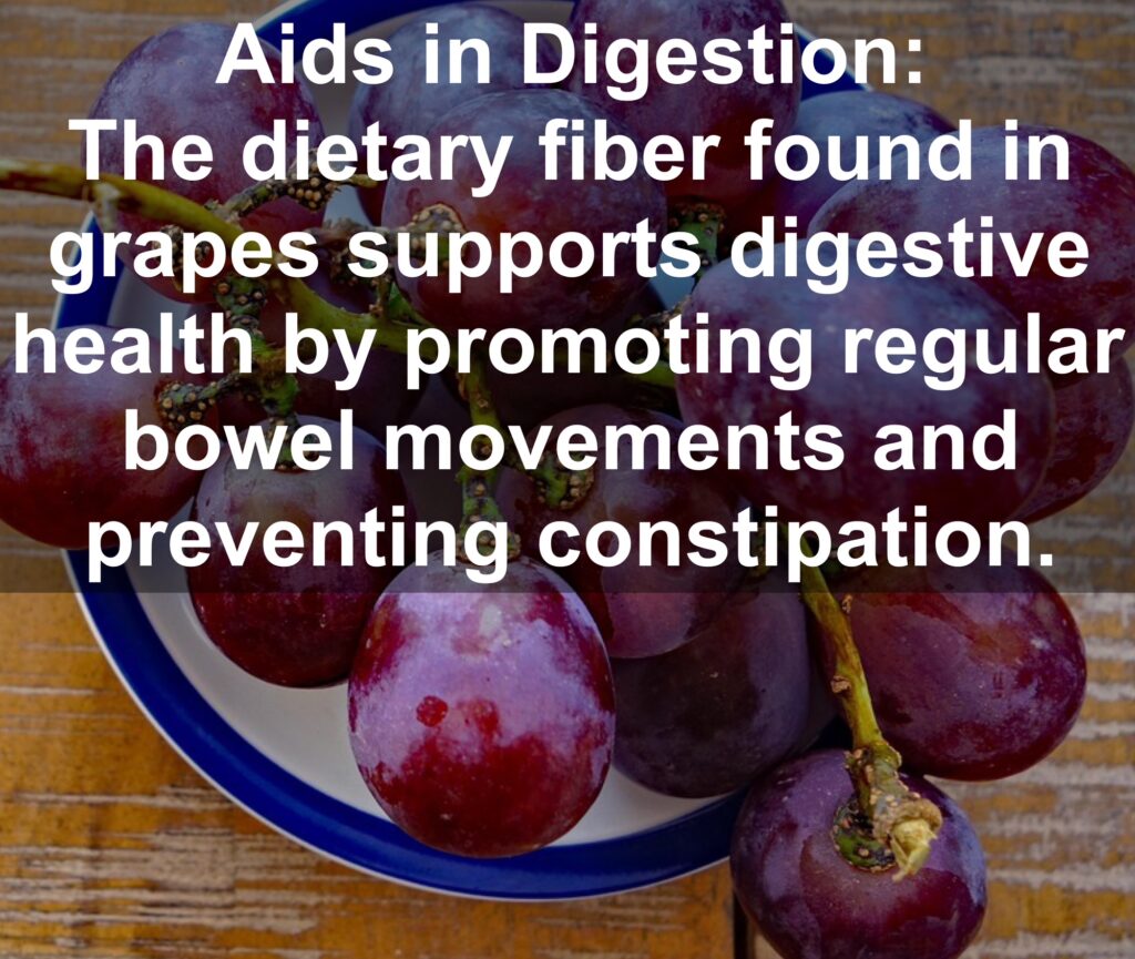 5. Aids in Digestion: The dietary fiber found in grapes supports digestive health by promoting regular bowel movements and preventing constipation.