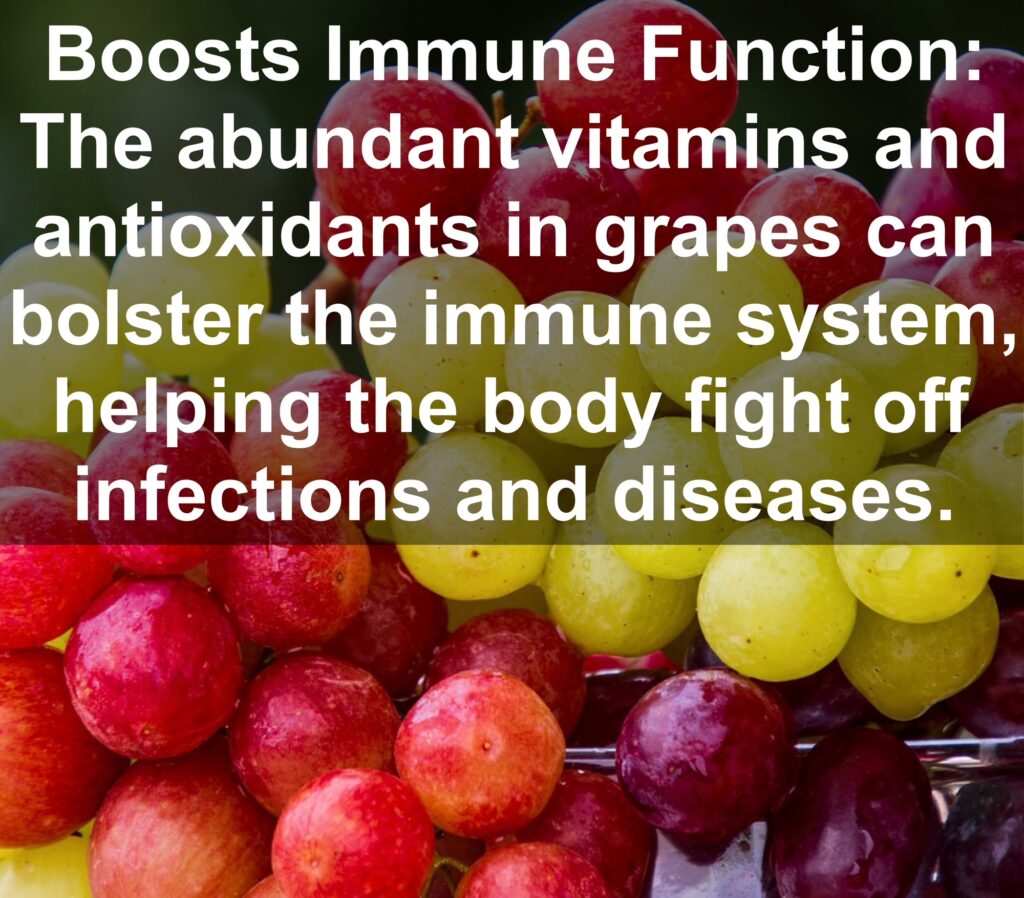 6. Boosts Immune Function: The abundant vitamins and antioxidants in grapes can bolster the immune system, helping the body fight off infections and diseases.