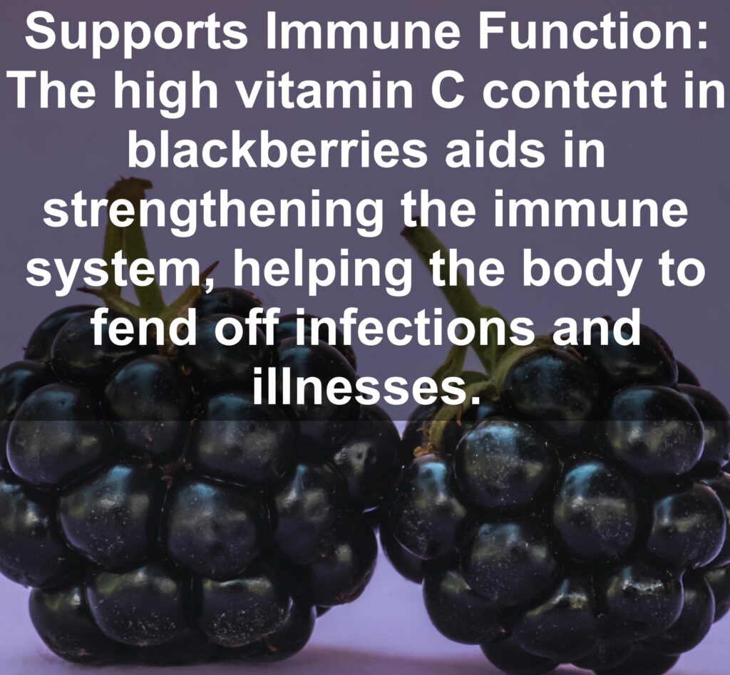 3. Supports Immune Function: The high vitamin C content in blackberries aids in strengthening the immune system, helping the body to fend off infections and illnesses.