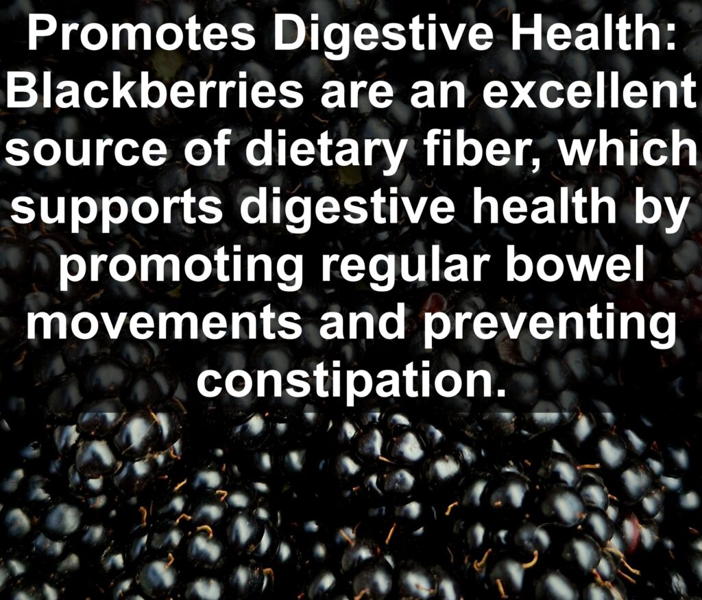 4. Promotes Digestive Health: Blackberries are an excellent source of dietary fiber, which supports digestive health by promoting regular bowel movements and preventing constipation.