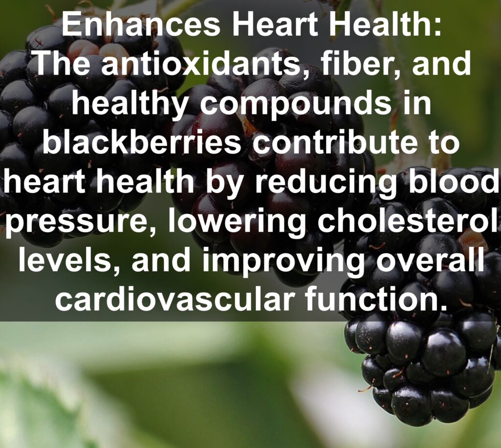 5. Enhances Heart Health: The antioxidants, fiber, and healthy compounds in blackberries contribute to heart health by reducing blood pressure, lowering cholesterol levels, and improving overall cardiovascular function.