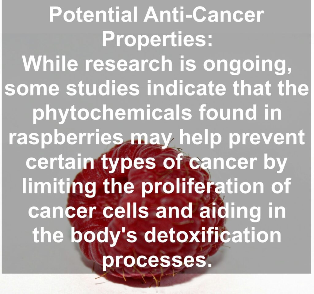 10. Potential Anti-Cancer Properties: While research is ongoing, some studies indicate that the phytochemicals found in raspberries may help prevent certain types of cancer by limiting the proliferation of cancer cells and aiding in the body's detoxification processes.