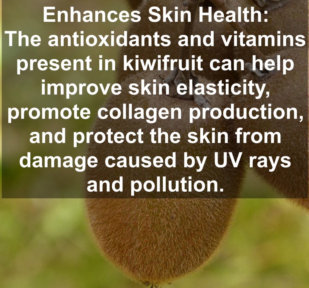 6. Enhances Skin Health: The antioxidants and vitamins present in kiwifruit can help improve skin elasticity, promote collagen production, and protect the skin from damage caused by UV rays and pollution.