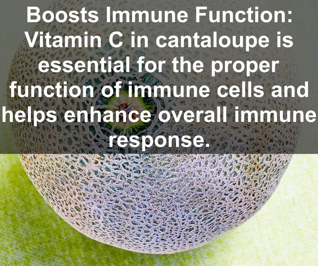 5. Boosts Immune Function: Vitamin C in cantaloupe is essential for the proper function of immune cells and helps enhance overall immune response.