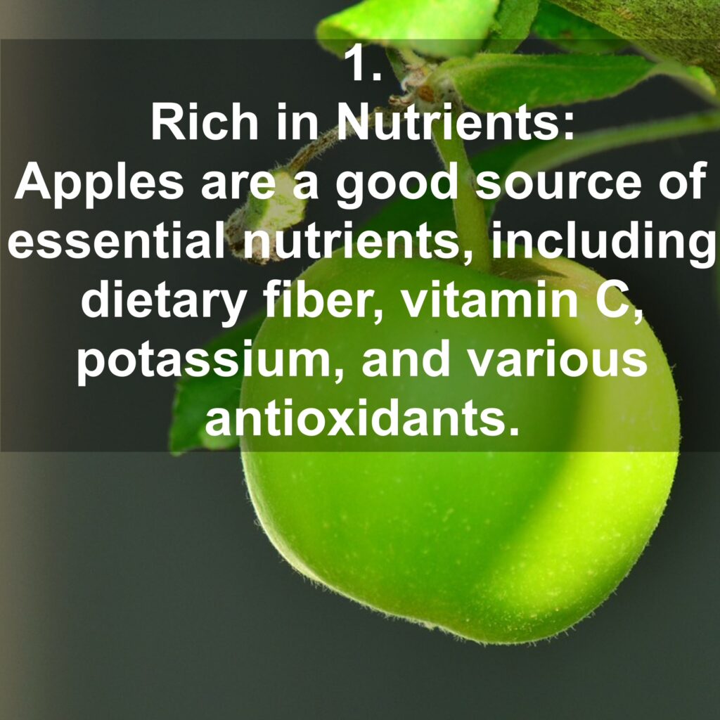 1. Rich in Nutrients: Apples are a good source of essential nutrients, including dietary fiber, vitamin C, potassium, and various antioxidants.