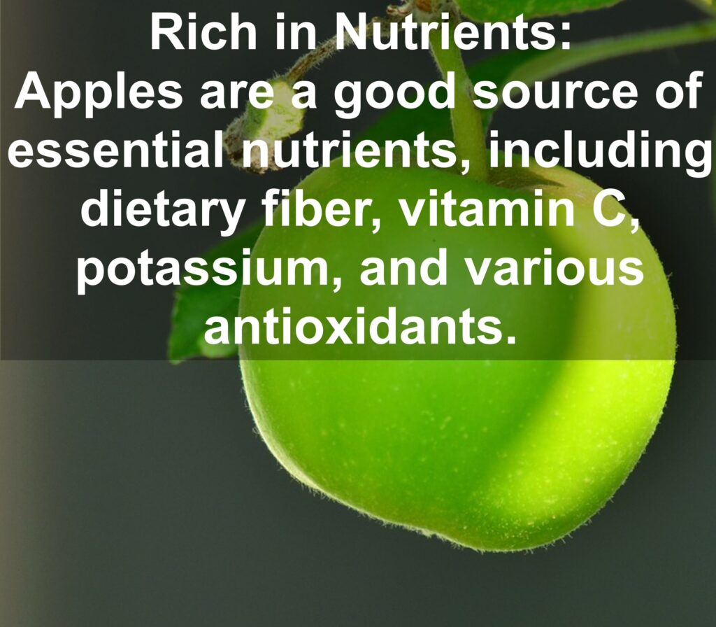 1. Rich in Nutrients: Apples are a good source of essential nutrients, including dietary fiber, vitamin C, potassium, and various antioxidants.