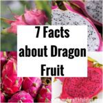 7 Facts about Dragon Fruit