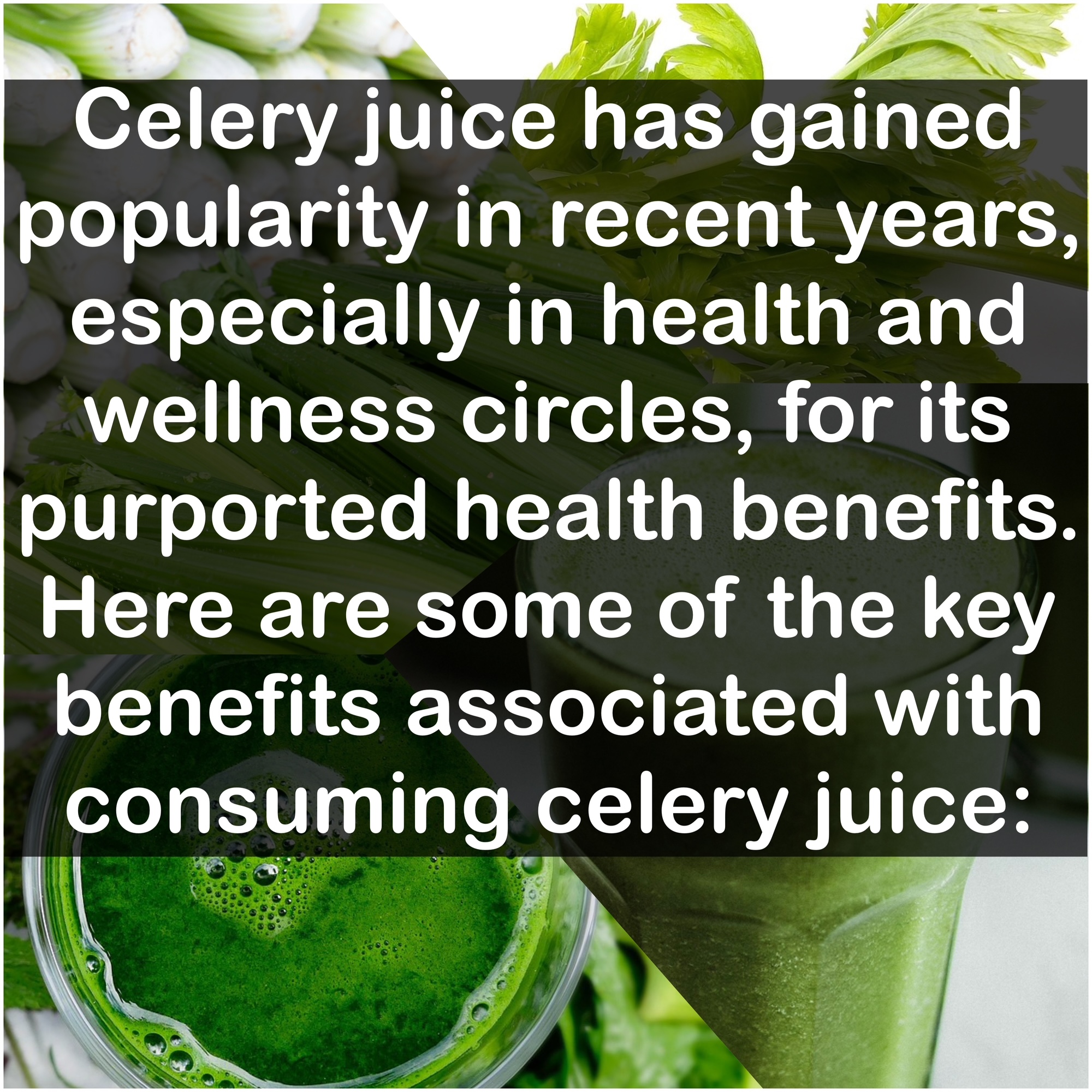 Celery juice has gained popularity in recent years, especially in health and wellness circles, for its purported health benefits. Here are some of the key benefits associated with consuming celery juice: