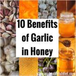 Benefits of Garlic in Honey